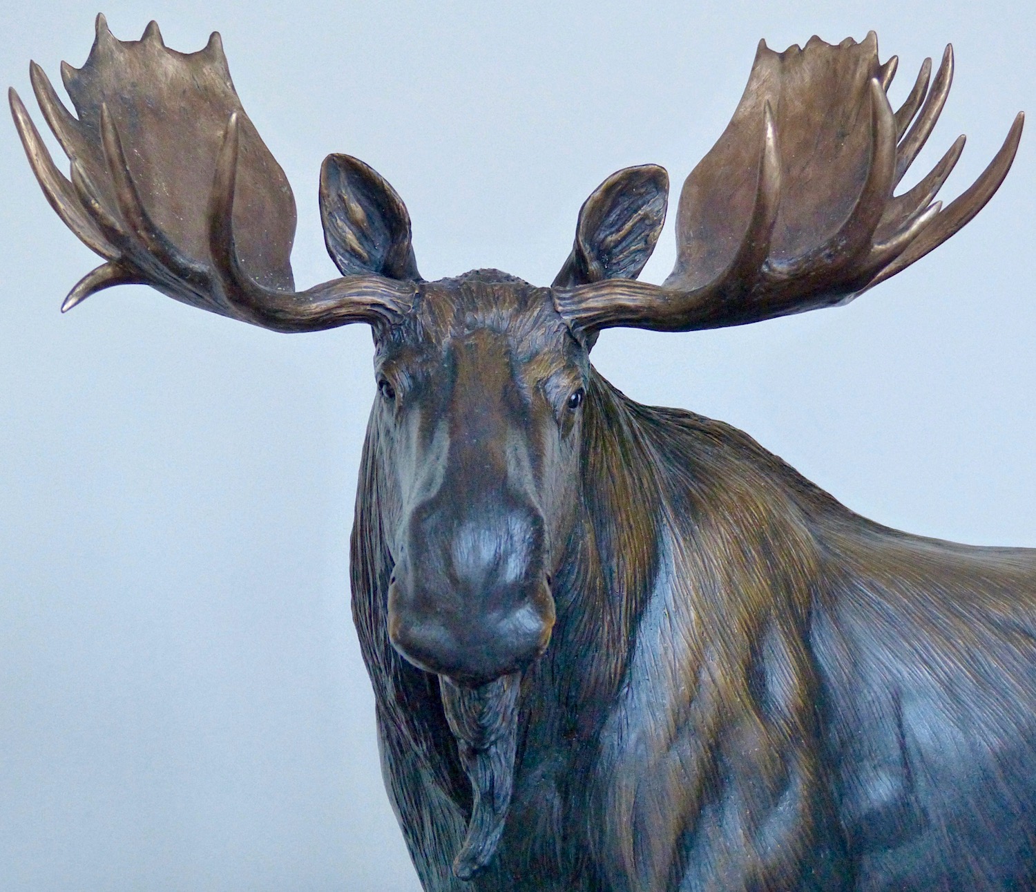 Moose, Bronze Sculptures | Tom Hjorleifson